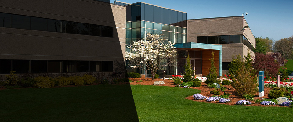 Nicholasville Landscapers