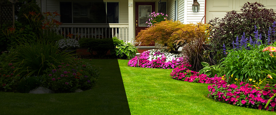 Nicholasville Landscapers